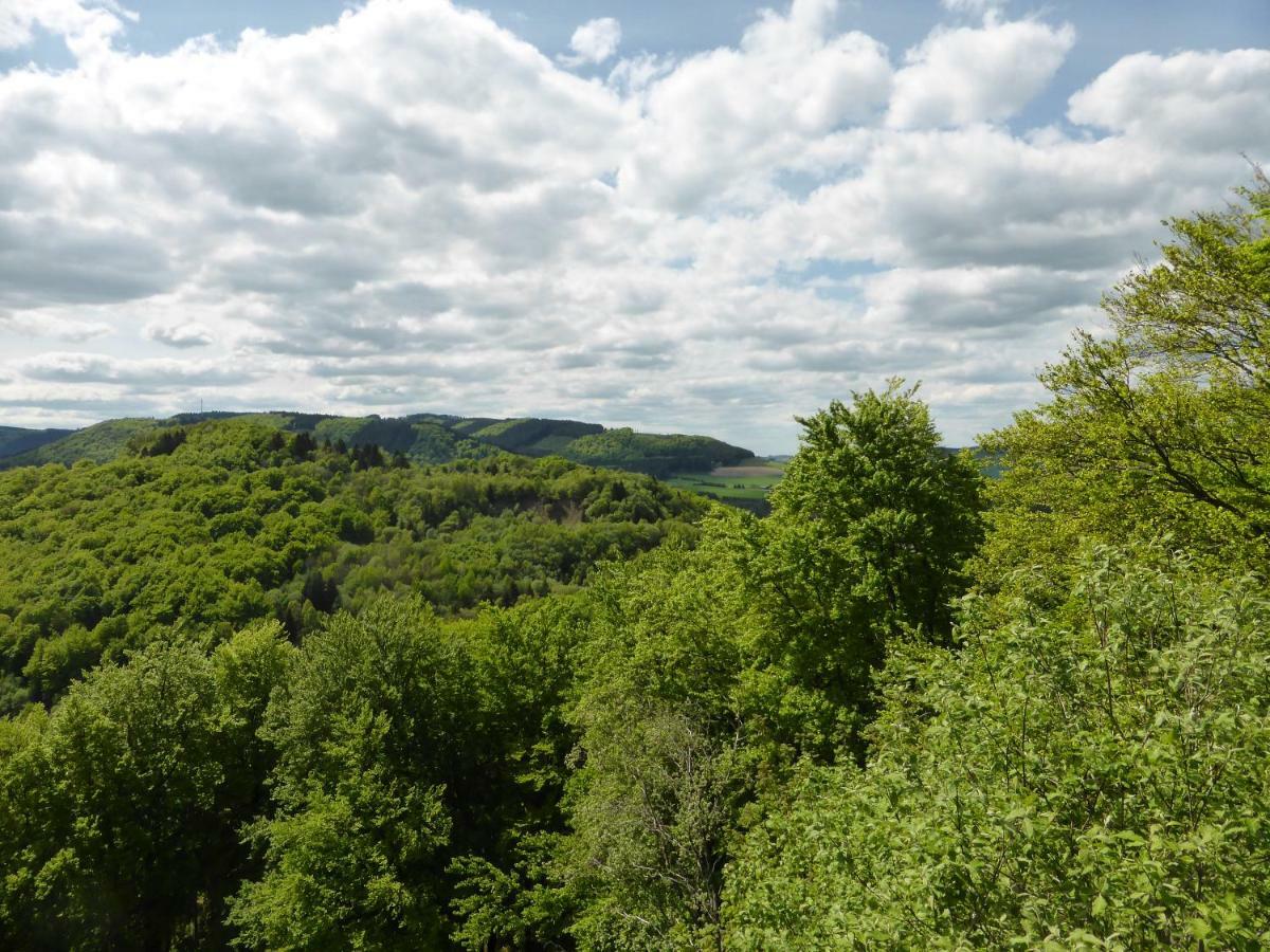 Das Nest Winterberg Kültér fotó