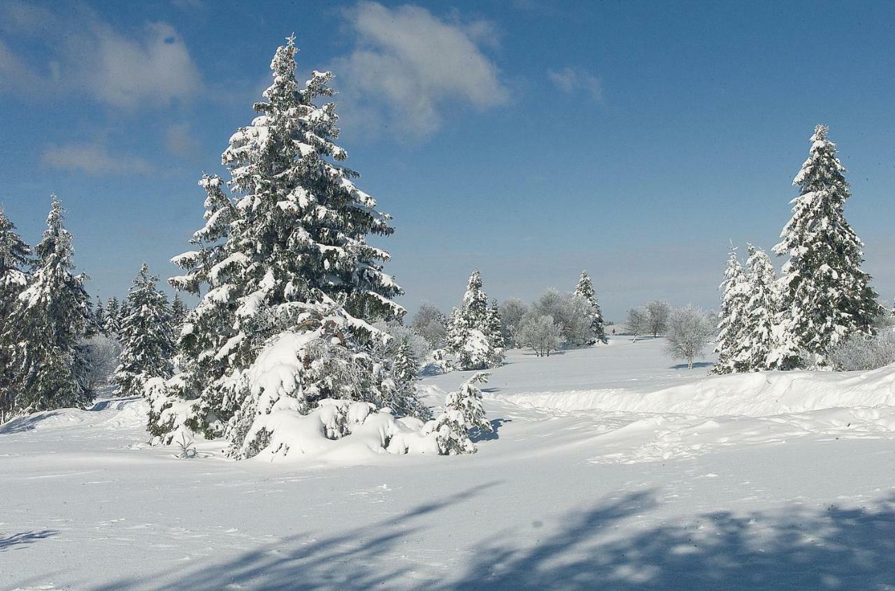 Das Nest Winterberg Kültér fotó